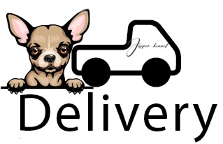 ชิวาวาทีคัพ-การจัดส่งชิวาวา-จัดส่งถึงบ้าน-ร้านจัสเปอร์เคนเนล